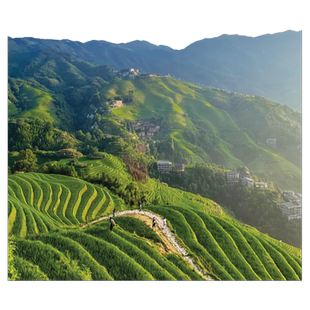 【一单一团】桂林龙脊梯田一日游本地旅游商务私家团包车金坑梯田