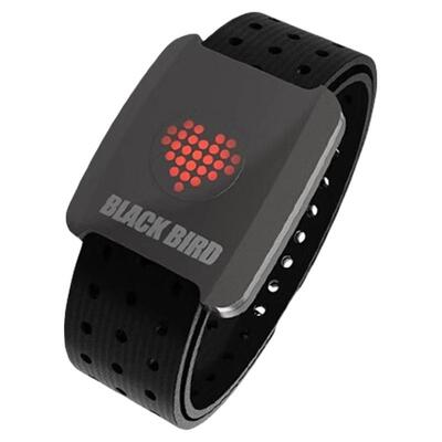 黑鸟智能心率臂带精准监测可充电