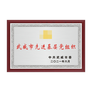 沙金木托牌匾支部优质铜牌不锈钢奖牌定做先进基层党组织单位集体