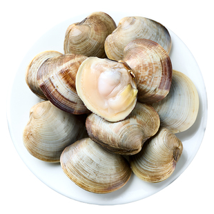 鲜活美贝蛤蜊超大新鲜花蛤文蛤鲜活贝类海鲜水产包肥包鲜京东快递