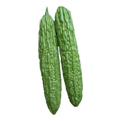 蔬菜寿光疙瘩碧绿泰国苦瓜种子