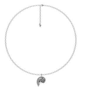 PEARLONA海螺复兴斐波那契数列鹦鹉螺可拆卸毛衣链长项链时髦新品