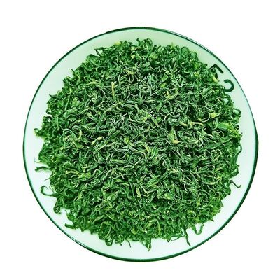 绿茶2026新茶云雾茶日照浓香耐泡