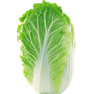 山东胶州大白菜种子种籽冬储早熟高产春夏秋四季白菜籽农家蔬菜孑