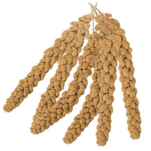 鹦鹉谷穗虎皮牡丹玄凤专用玩具啃咬训练奖励解闷小零食鸟用品大全