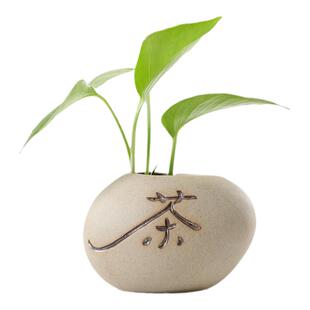 粗陶陶瓷小号水培花盆小口径花瓶花插桌面摆件铜钱草绿萝水养器皿