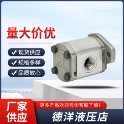 询凯斯帕油泵CASAPPA齿轮泵PLP20206.38911.214164液压帮浦