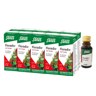 Floradix铁元 德国铁元补铁铁剂迷你便携铁元15ml*30支