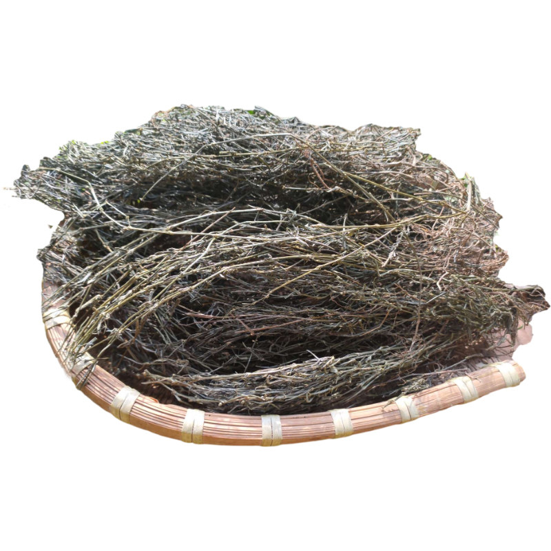 深山乌骨白花蛇舌草整颗半枝莲
