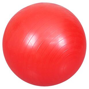 幼儿园大龙球感统训练器材家用儿童瑜伽球早教健身锻炼防爆按摩球