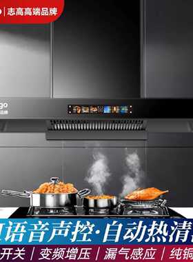 icongo志高高端品牌顶吸式油烟机家用厨房大吸力T型烟机欧式油机