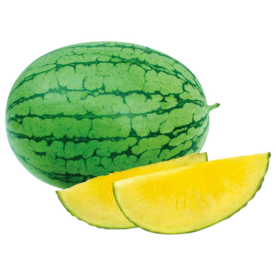 盆栽小西瓜种子早熟黄壤四季