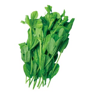 无须豌豆种子专吃豌豆苗四川豌豆尖种籽四季甜豌豆荷兰豆蔬菜种孑