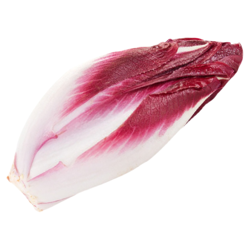 新鲜紫玉兰菜500g 红玉兰芽球菊苣蔬菜chicory比利时沙拉西餐食材