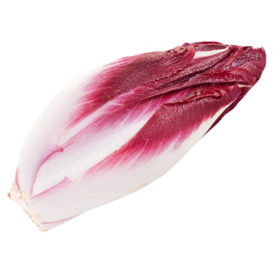 新鲜紫玉兰菜500g 红玉兰芽球菊苣蔬菜chicory比利时沙拉西餐食材