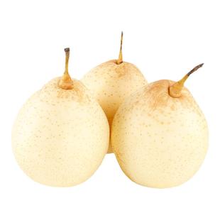 正宗河北鸭梨水果整箱5/10斤包邮赵县特产当季水晶鸭梨原产地直发