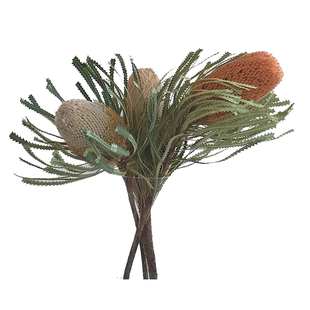 久伴中古侘寂天然澳洲班克木干花树枝长枝家居桌面客厅装饰摆件