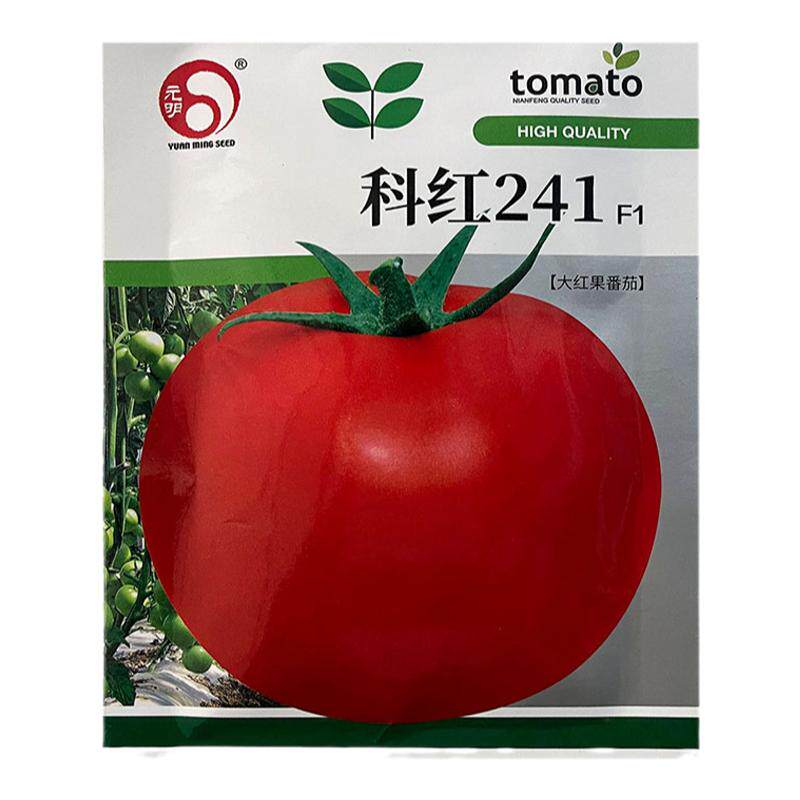 科红241大西红柿番茄蔬菜种子