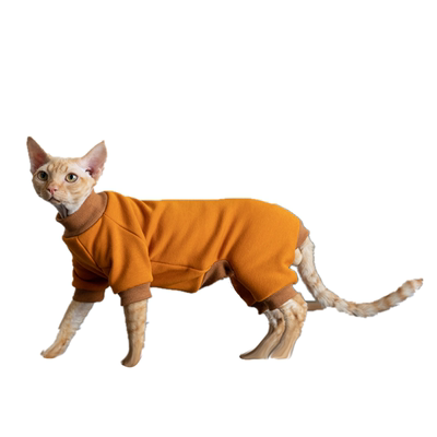 德文柯尼斯加绒加厚四腿无毛猫