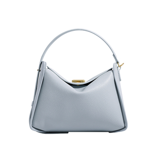 香港品牌软皮斜挎包女包包2025新款轻奢小众高级感锁扣胶囊枕头包