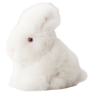 injoi小兔子玩偶秘鲁羊驼毛公仔柔软毛绒玩具儿童生日新年礼物