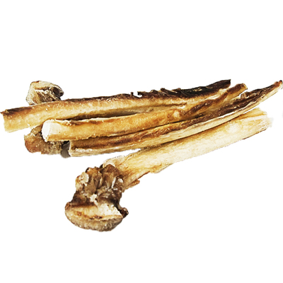 宠物狗磨牙棒贵宾泰迪比熊柯基