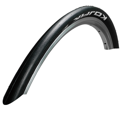 世文SCHWALBE16寸349轮胎