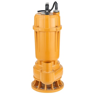 浪奇水泵污水潜水泵小型220V/380V螺纹口潜水电泵便携式污水泵