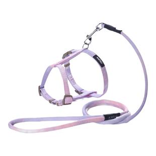 新款猫咪牵引绳溜猫遛猫绳防挣脱可调节猫绳子牵引猫拴猫绳链