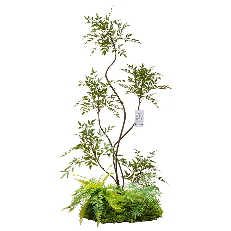 玄关造景装饰绿植微景观