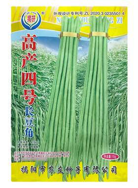 高产四号长豆角种子早熟挂荚率高