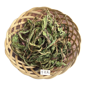 蒲公英茶农家苦苦菜野生干蒲公英干婆婆丁根中药材苦地丁500g包邮