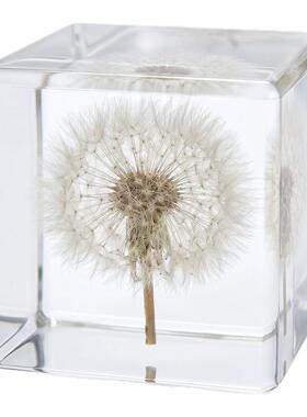 植物树脂摆件蒲公英玫瑰干花摆件