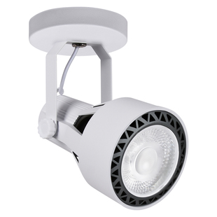 光联天下吸顶式植物补光灯客厅过道阳台热植绿植生长灯全光谱白光