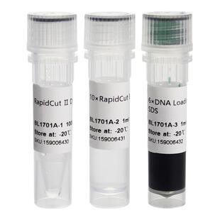 Biosharp/白鲨 BL1701A RapidCut Ⅱ DpnI 快速限制性内切酶