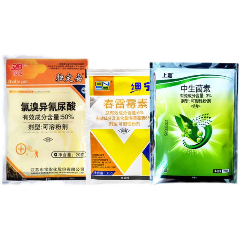 青枯病流胶病专用药细菌性病害