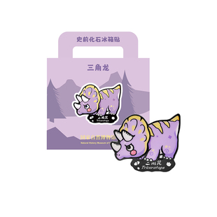 国家自然博物馆 史前化石恐龙冰箱贴可爱卡通夜光冰箱贴生日礼物