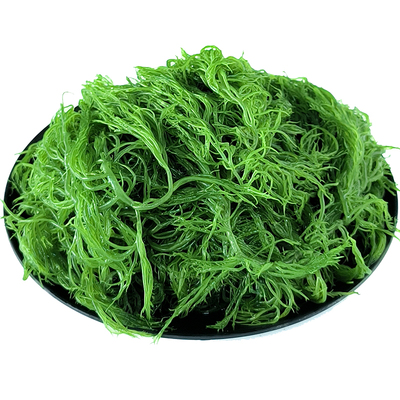 霞浦龙须菜新鲜盐渍火锅凉拌菜