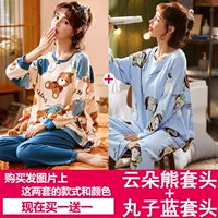 Yun Duo Bear Block+Maruko Blue Set Set