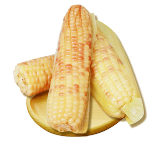 云南西双版纳小玉米新鲜香糯玉米甜糯香甜软糯带皮4斤10-12根包邮