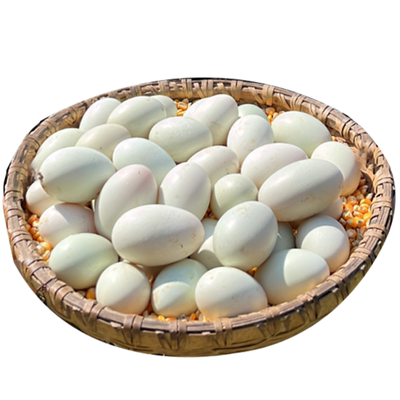 农家散养土鸭蛋顺丰快递