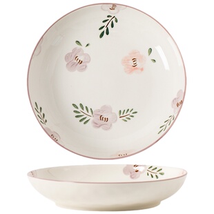 日式创意盘子菜盘家用2026新款INS餐具套装小清新菜碟子深盘组合