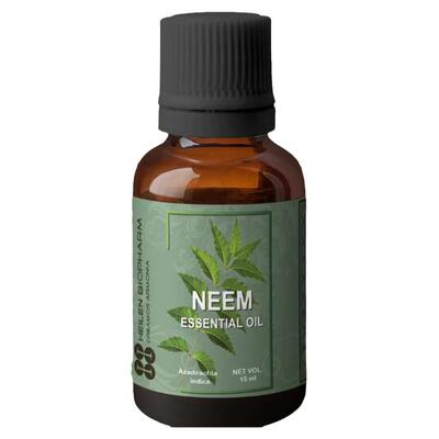 苦楝neem印楝印度精油阿育吠陀
