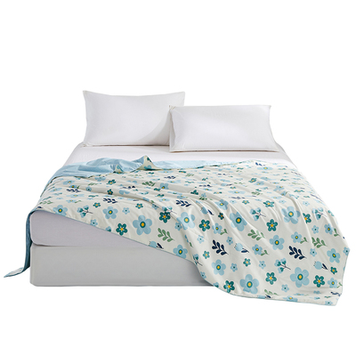 太湖雪100%蚕丝夏凉被空调被夏季薄被单双人纯棉全棉薄被芯可水洗