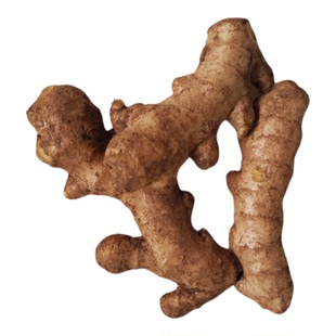 山东原产地精品生姜老姜月子姜新鲜姜块窖藏现挖无硫熏老黄姜包邮