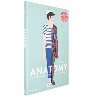 【现货】纸雕立体书 Anatomy人体结构 Helene Druvert剪纸艺术 儿童趣味科普 英文原版 T&H出版【善优童书】