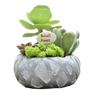 水泥模具大全花盆模具多肉鸟巢造型盆模具 创意Zakka植物桌面装饰