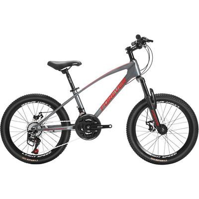 永久镁合金青少年学生车