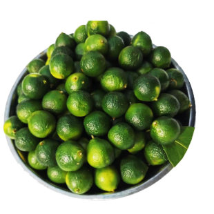 新鲜小金桔青桔水果青金桔鲜果柠檬百香果奶茶店果茶专用整箱包邮