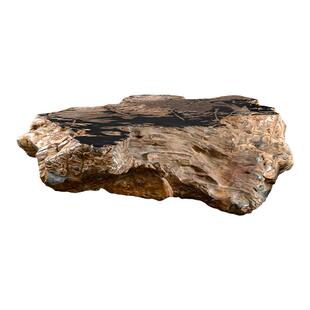 木化石大桌子天然 石台茶桌庭院花园户外别墅凉亭硅化木桌面复古